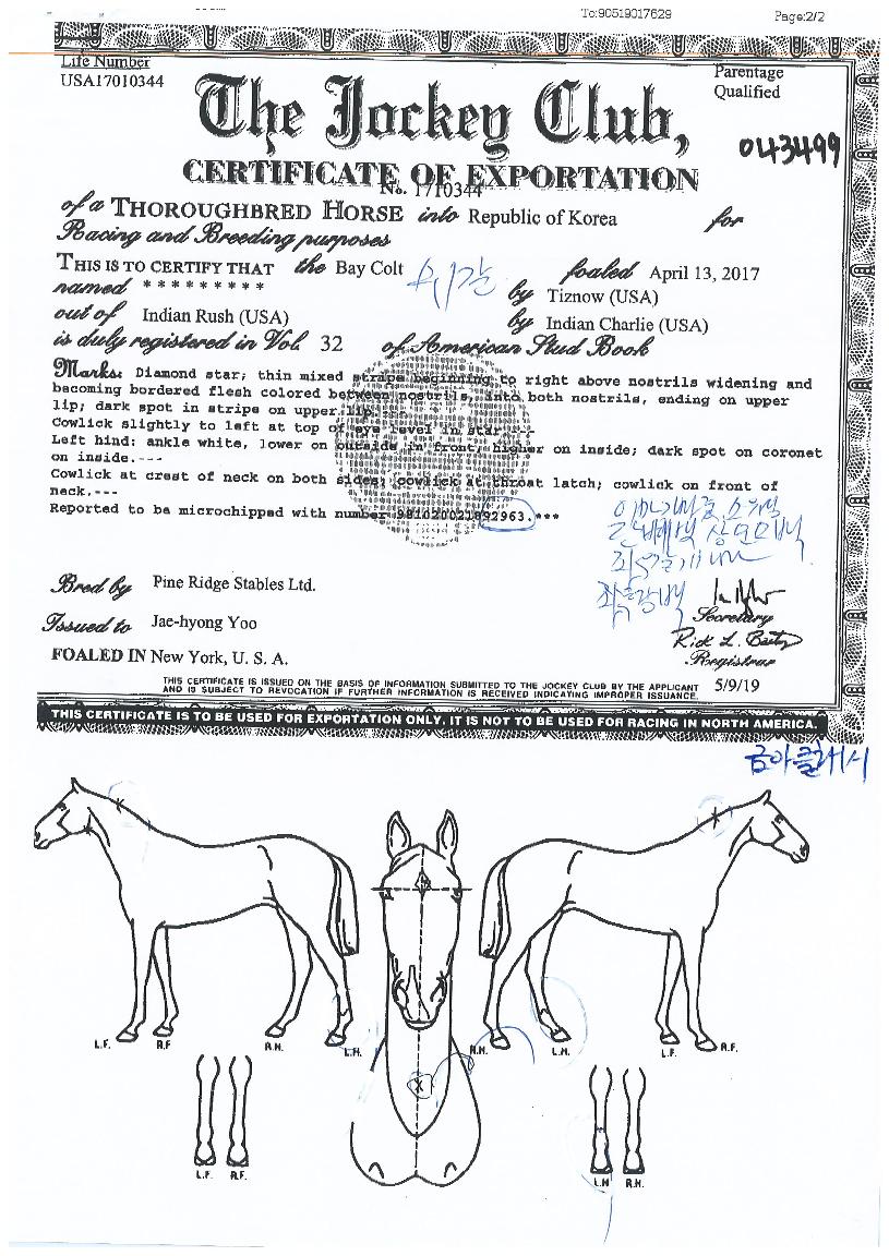 �ݾ�Ŭ������ ����,���,�޸�,�λ�,�ٸ��� Ư¡����