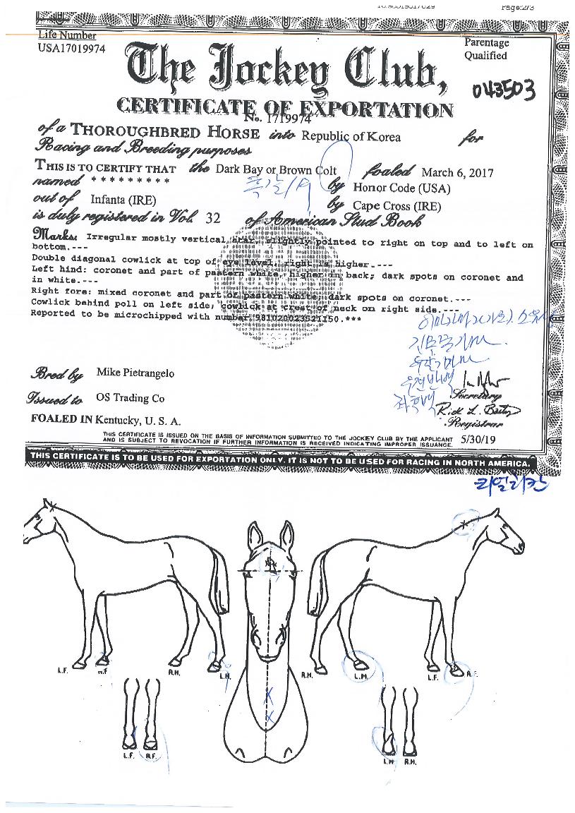 ����ĭ�� ����,���,�޸�,�λ�,�ٸ��� Ư¡����