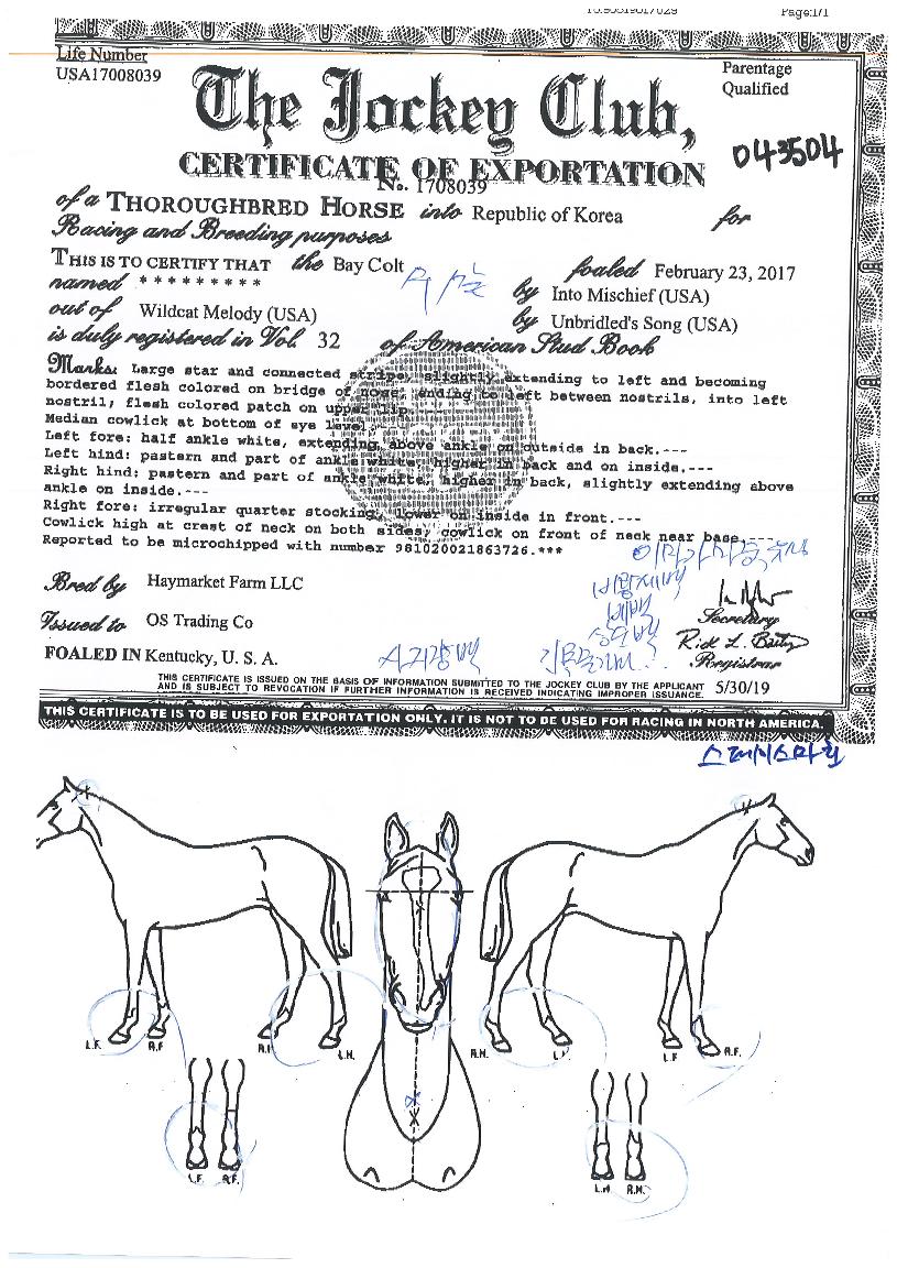 �����̽������� ����,���,�޸�,�λ�,�ٸ��� Ư¡����