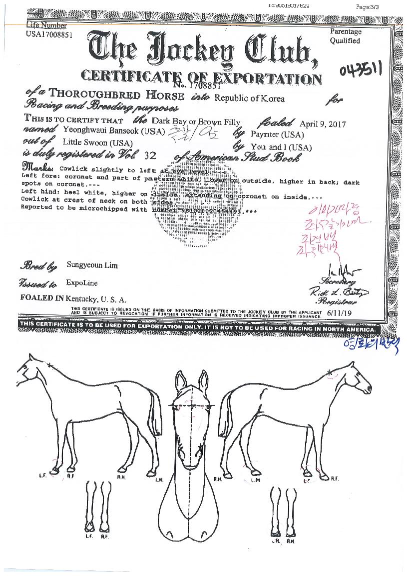 ��ȭ�ǹݼ��� ����,���,�޸�,�λ�,�ٸ��� Ư¡����