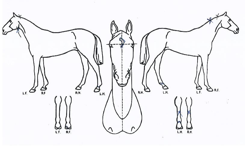 ������̽��� ����,���,�޸�,�λ�,�ٸ��� Ư¡����