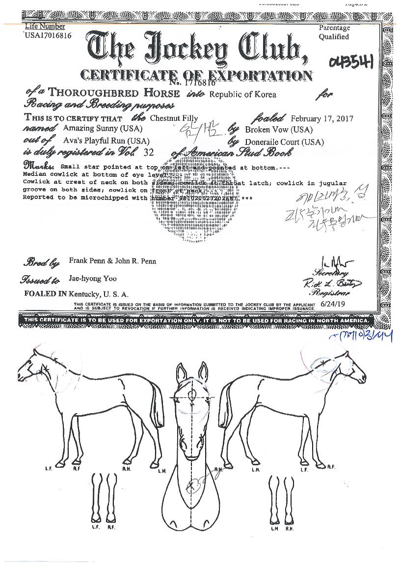 ¾î¸ÞÀÌ¡¼´ÏÀÇ Ãø¸é,¿ì¸é,µÞ¸é,µÎ»ó,´Ù¸®ÀÇ Æ¯Â¡µµÇØ