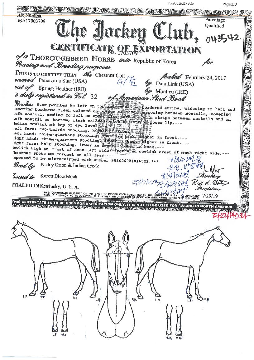 �ĳ�󸶽�Ÿ�� ����,���,�޸�,�λ�,�ٸ��� Ư¡����