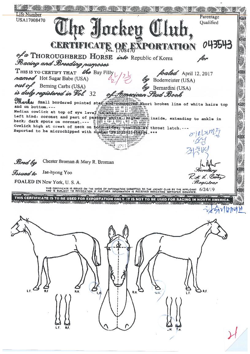 �ֽ��ź��̺��� ����,���,�޸�,�λ�,�ٸ��� Ư¡����