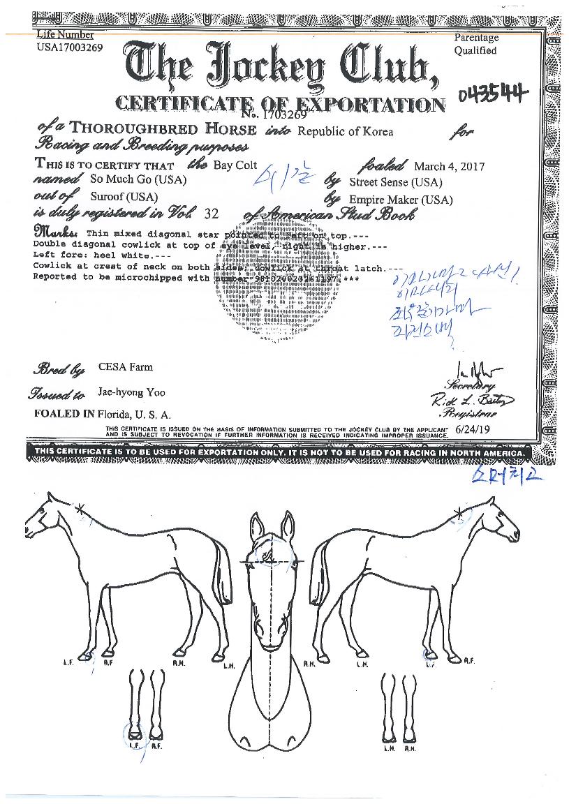 ¼Ò¸ÓÄ¡°íÀÇ Ãø¸é,¿ì¸é,µÞ¸é,µÎ»ó,´Ù¸®ÀÇ Æ¯Â¡µµÇØ