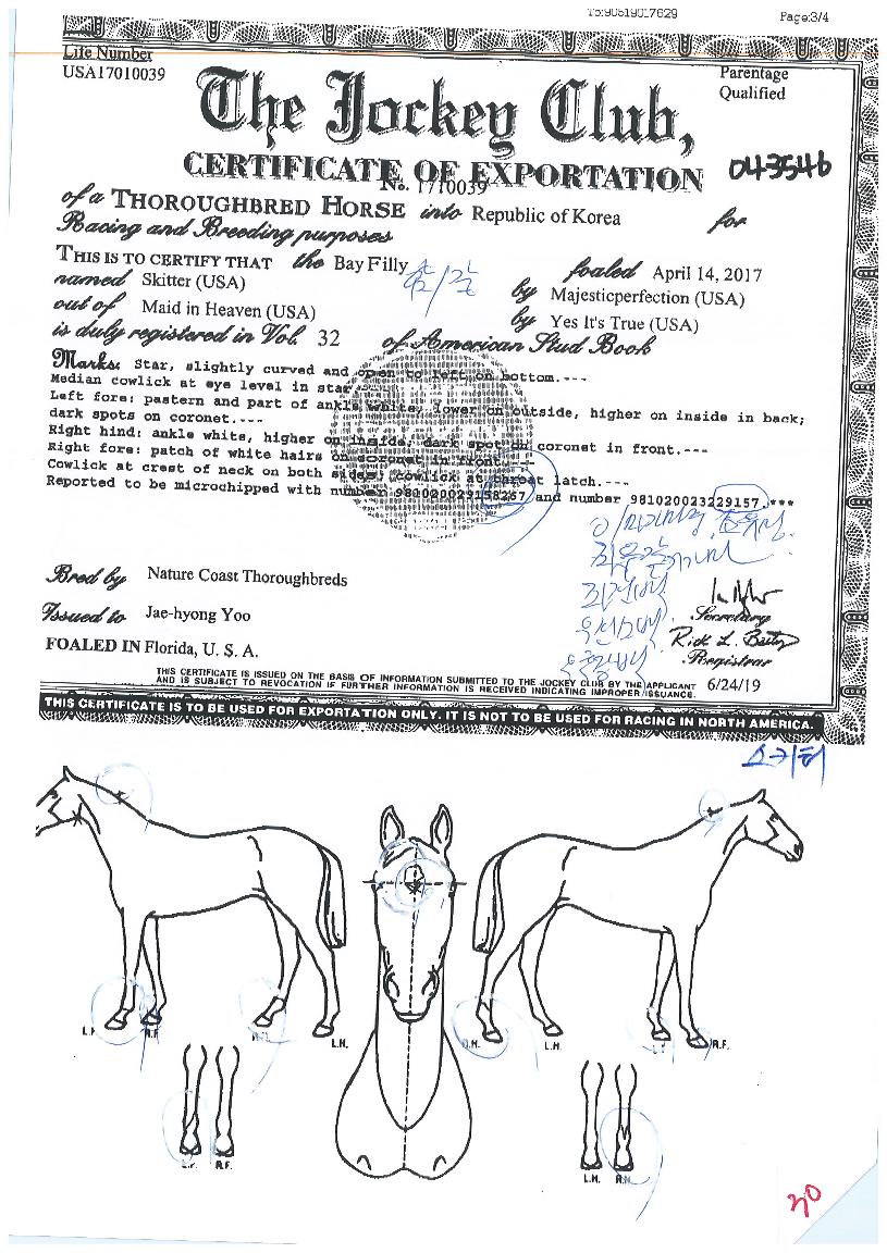 ��Ű���� ����,���,�޸�,�λ�,�ٸ��� Ư¡����