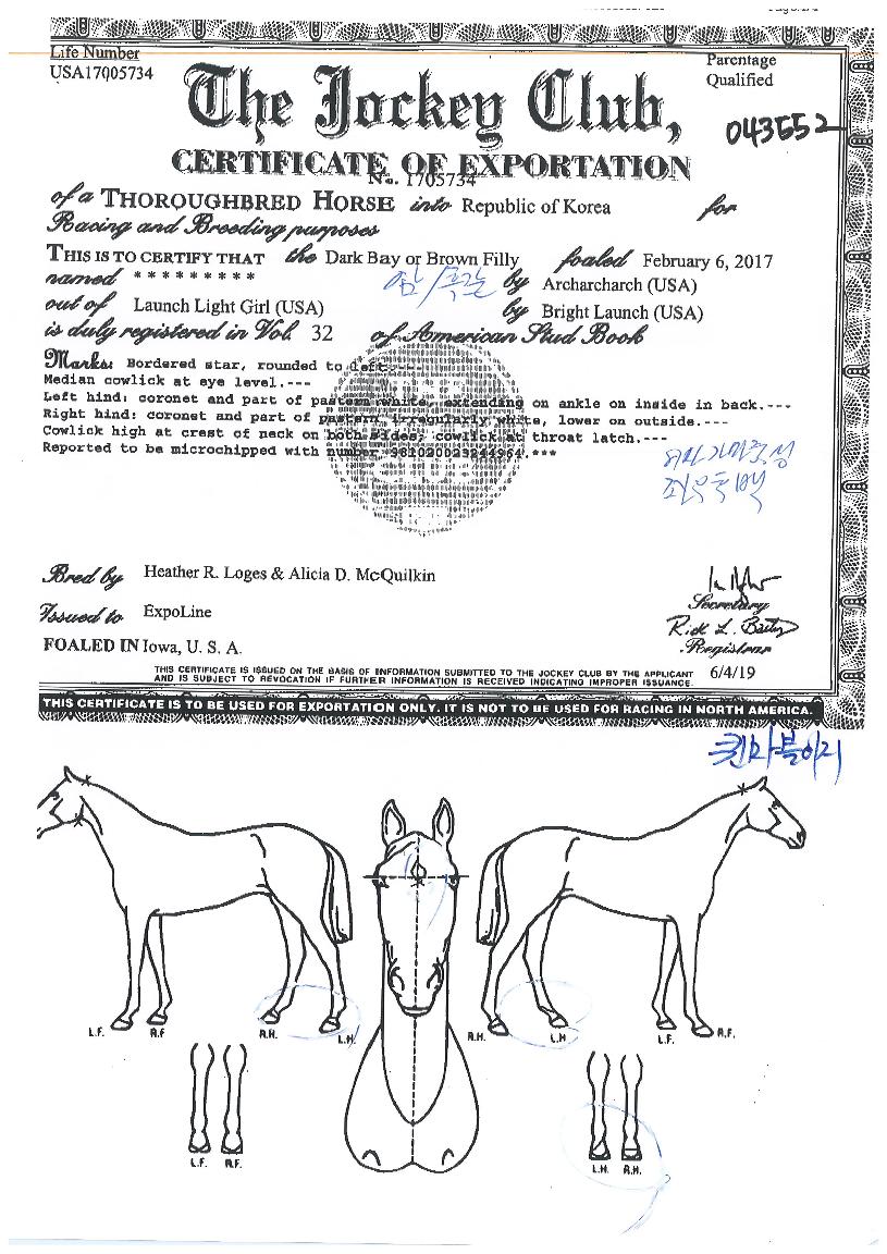 ������������ ����,���,�޸�,�λ�,�ٸ��� Ư¡����