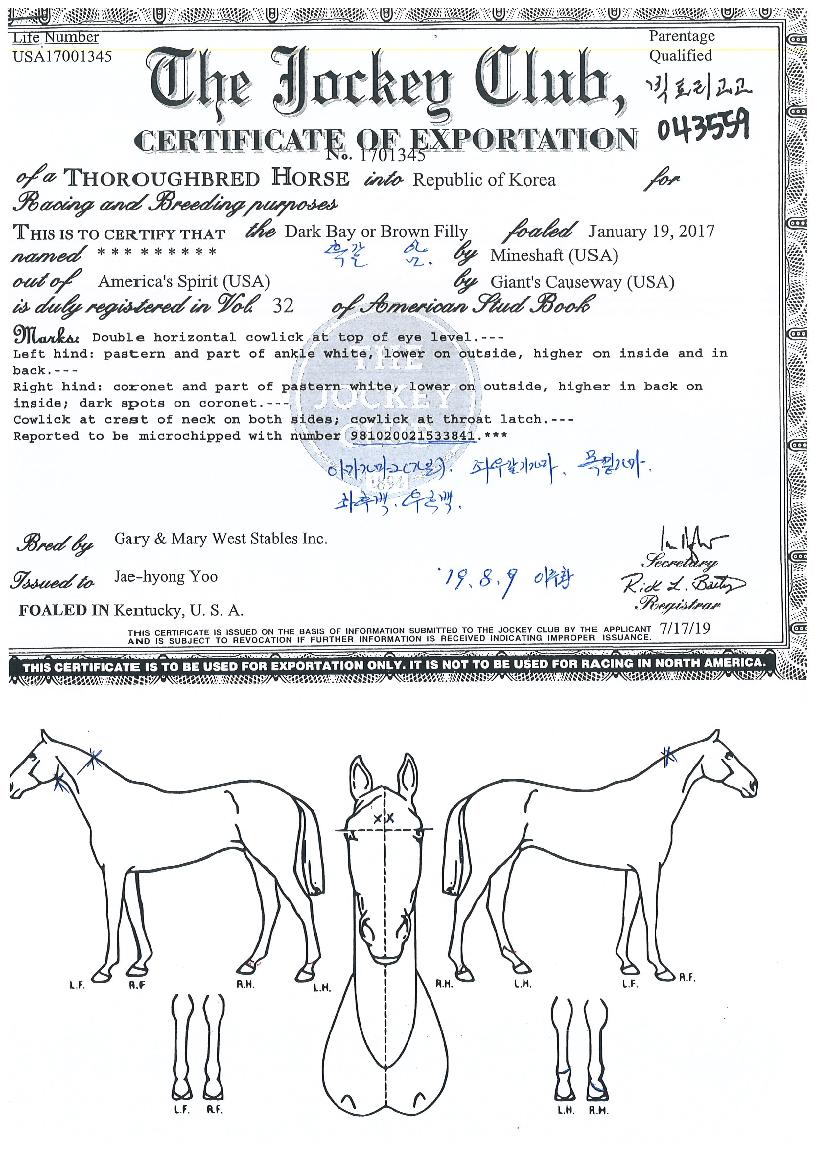 ���丮������ ����,���,�޸�,�λ�,�ٸ��� Ư¡����