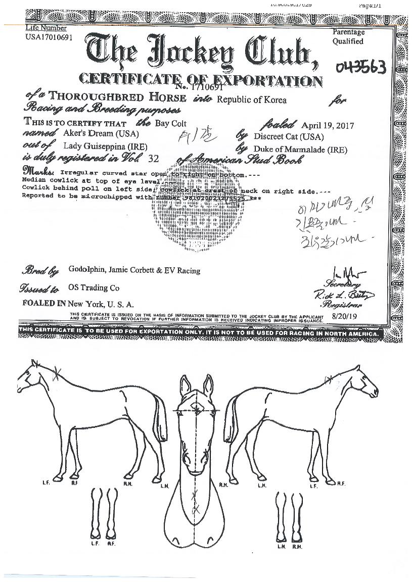 ¿¡ÀÌÄ¿½ºµå¸²ÀÇ Ãø¸é,¿ì¸é,µÞ¸é,µÎ»ó,´Ù¸®ÀÇ Æ¯Â¡µµÇØ