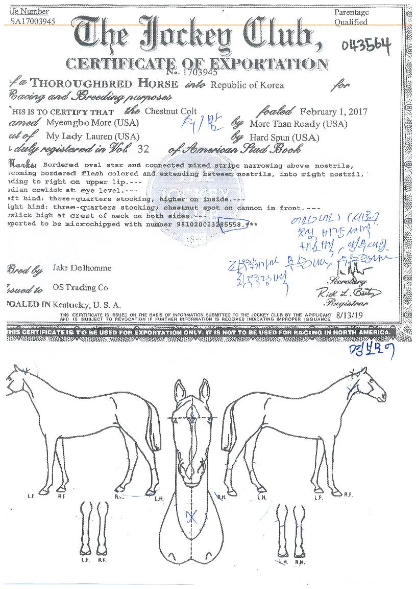 ¸íº¸¸ð¾îÀÇ Ãø¸é,¿ì¸é,µÞ¸é,µÎ»ó,´Ù¸®ÀÇ Æ¯Â¡µµÇØ