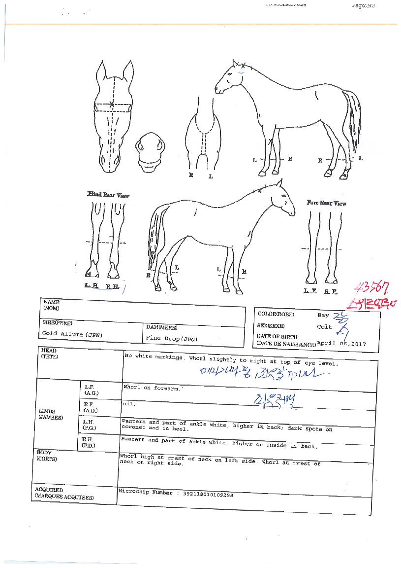 ½ºÀ§Æ®¾ó·ç¾îÀÇ Ãø¸é,¿ì¸é,µÞ¸é,µÎ»ó,´Ù¸®ÀÇ Æ¯Â¡µµÇØ