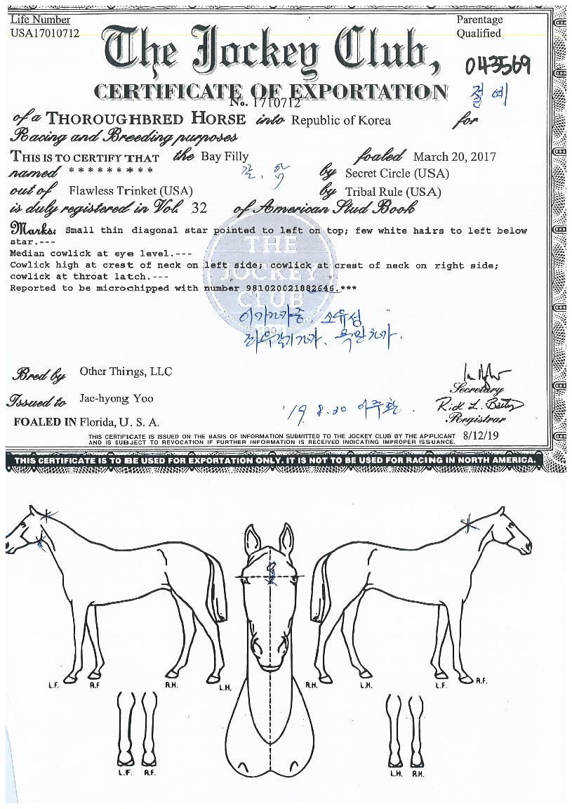 ������ ����,���,�޸�,�λ�,�ٸ��� Ư¡����