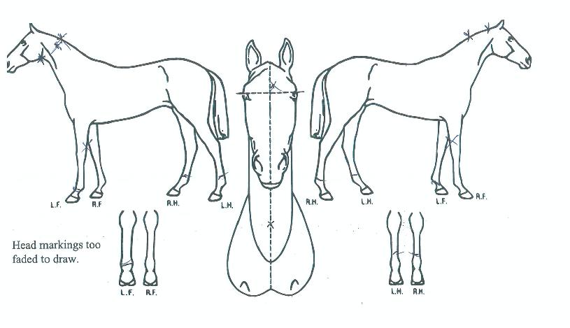 ť�ǵ�̼��� ����,���,�޸�,�λ�,�ٸ��� Ư¡����