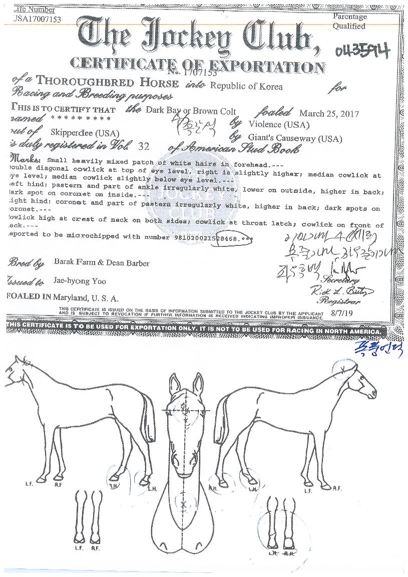 ��ǳ����� ����,���,�޸�,�λ�,�ٸ��� Ư¡����