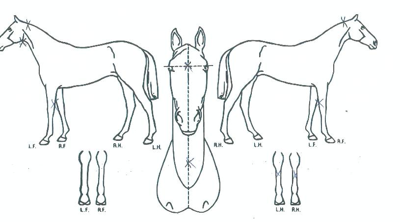 �ݺ������� ����,���,�޸�,�λ�,�ٸ��� Ư¡����