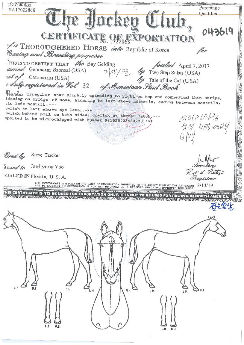 °ËÀº½ð»ìÀÇ Ãø¸é,¿ì¸é,µÞ¸é,µÎ»ó,´Ù¸®ÀÇ Æ¯Â¡µµÇØ