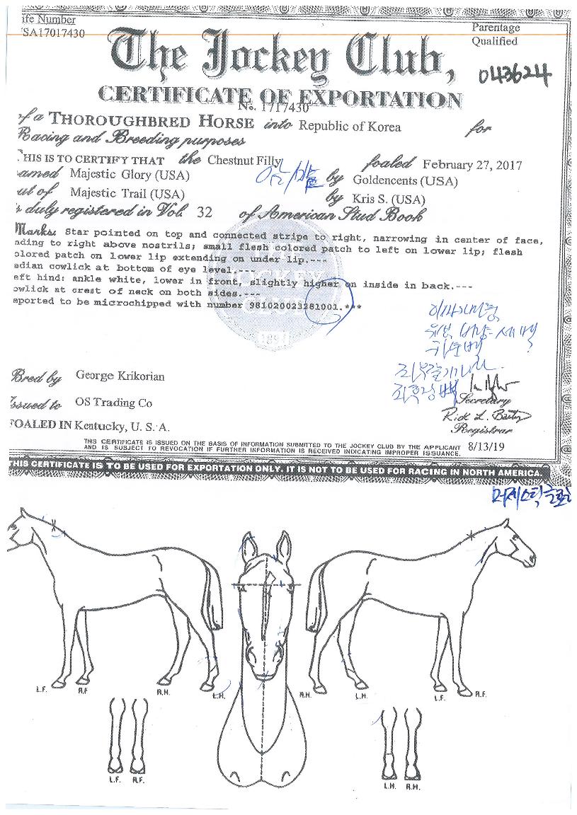 ������ƽ�۷θ��� ����,���,�޸�,�λ�,�ٸ��� Ư¡����