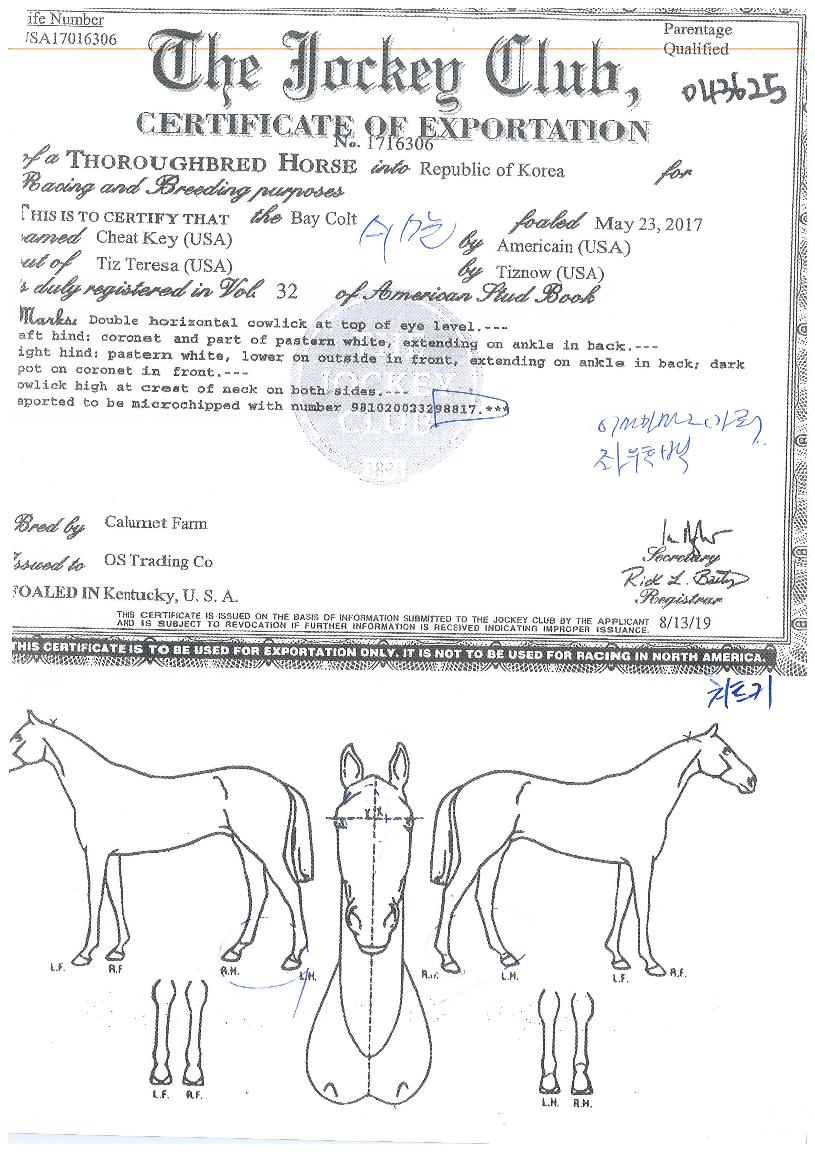 ġƮŰÀÇ Ãø¸é,¿ì¸é,µÞ¸é,µÎ»ó,´Ù¸®ÀÇ Æ¯Â¡µµÇØ