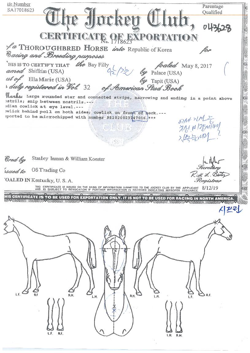 ½ÃÇÁ¸°ÀÇ Ãø¸é,¿ì¸é,µÞ¸é,µÎ»ó,´Ù¸®ÀÇ Æ¯Â¡µµÇØ