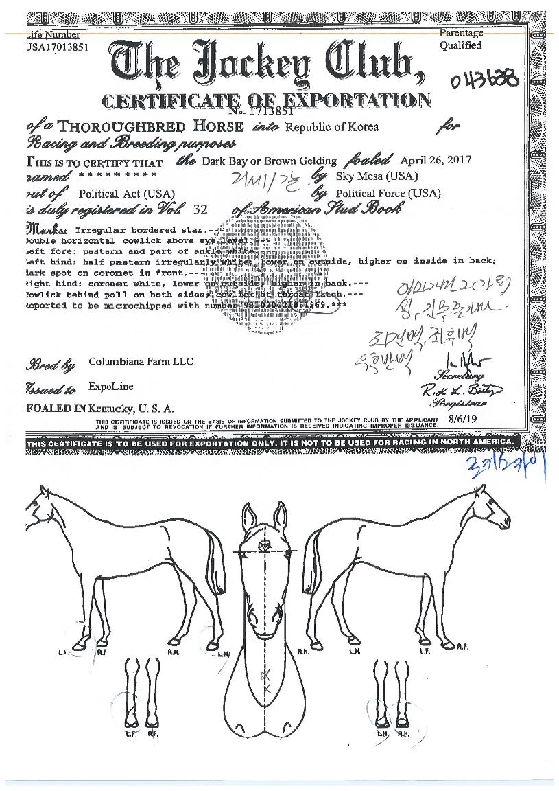 ·ÎŰ½ºÄ«ÀÌÀÇ Ãø¸é,¿ì¸é,µÞ¸é,µÎ»ó,´Ù¸®ÀÇ Æ¯Â¡µµÇØ