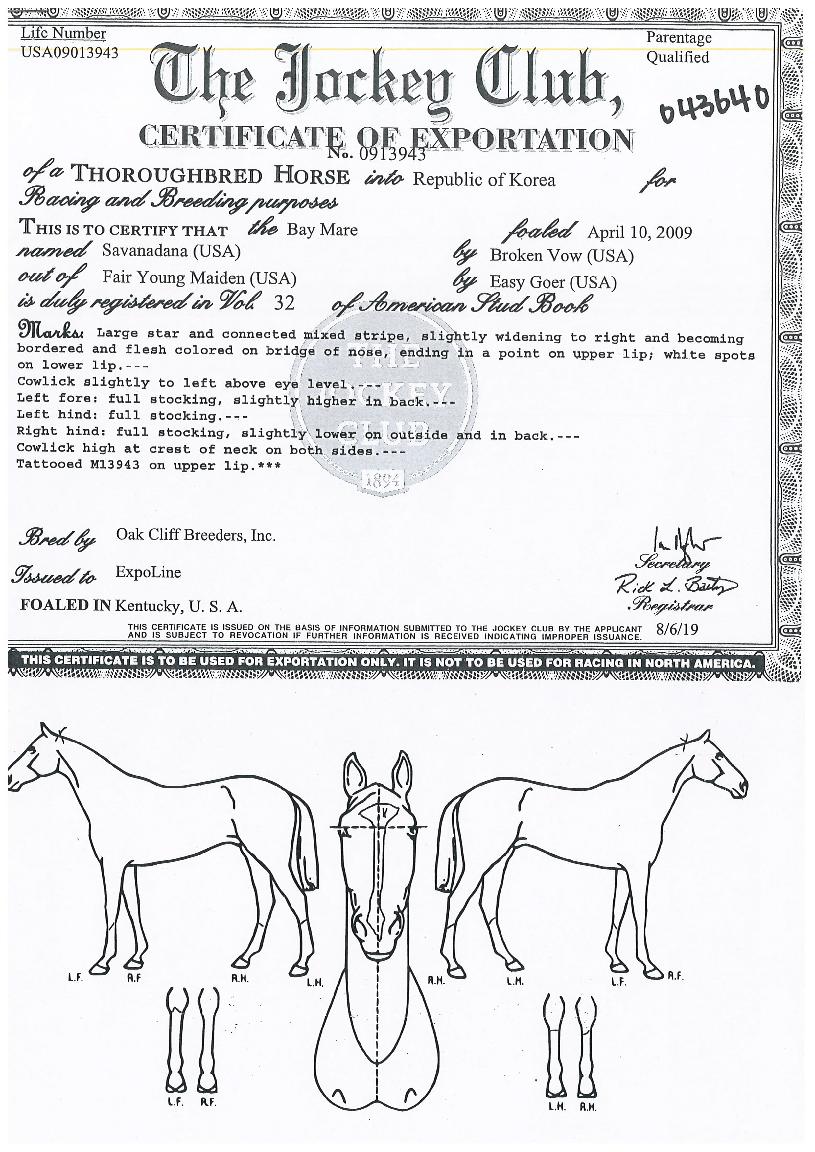 »ç¹Ù³ª´Ù³ªÀÇ Ãø¸é,¿ì¸é,µÞ¸é,µÎ»ó,´Ù¸®ÀÇ Æ¯Â¡µµÇØ