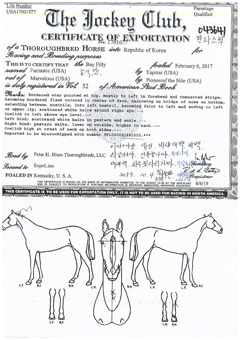 ��Ÿ��ƽ�� ����,���,�޸�,�λ�,�ٸ��� Ư¡����