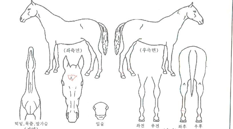 ��Ʈ������ ����,���,�޸�,�λ�,�ٸ��� Ư¡����