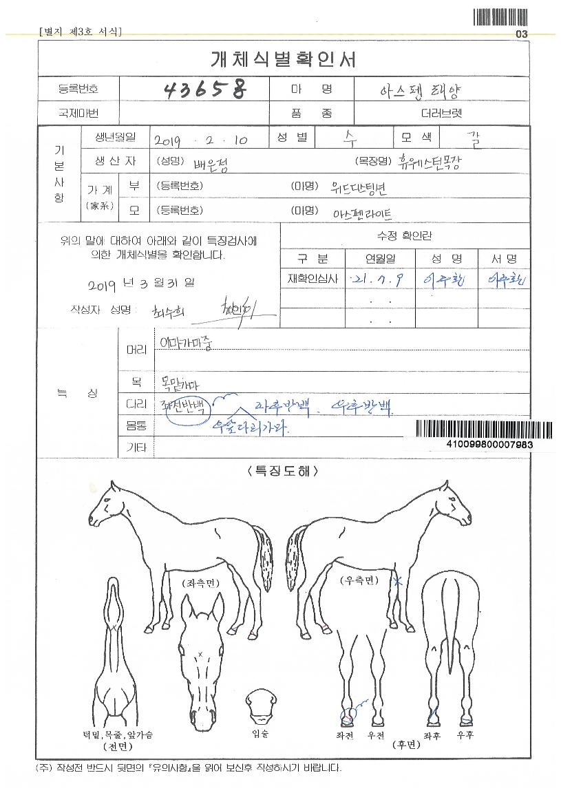 �ƽ����¾��� ����,���,�޸�,�λ�,�ٸ��� Ư¡����