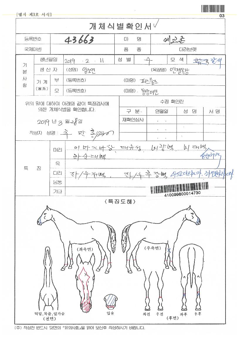 ¿¡ÄÚÁ¸ÀÇ Ãø¸é,¿ì¸é,µÞ¸é,µÎ»ó,´Ù¸®ÀÇ Æ¯Â¡µµÇØ