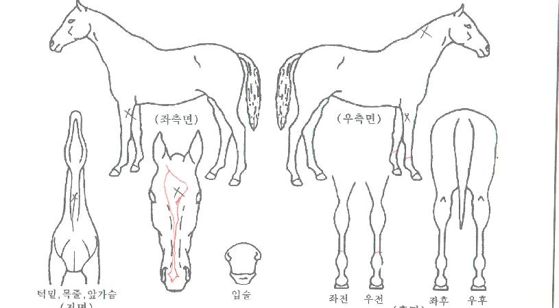 ȭ�����̽��� ����,���,�޸�,�λ�,�ٸ��� Ư¡����