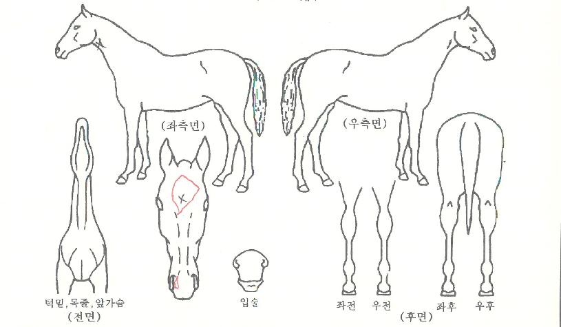 ���丮������ ����,���,�޸�,�λ�,�ٸ��� Ư¡����