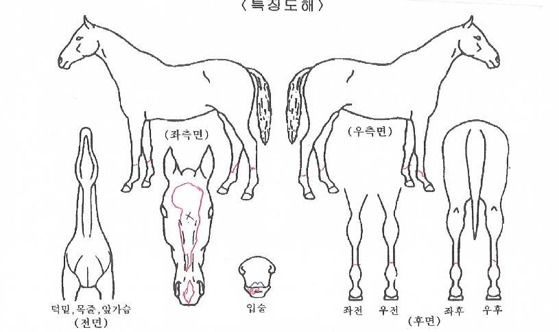 �������� ����,���,�޸�,�λ�,�ٸ��� Ư¡����