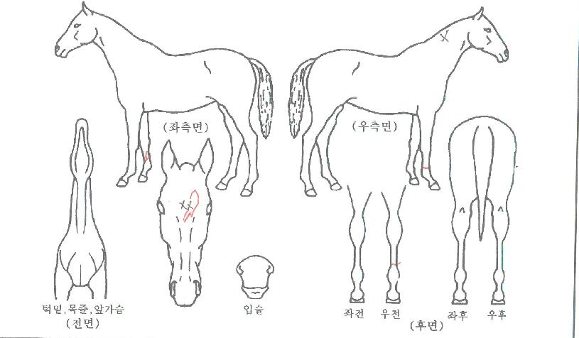 ���������� ����,���,�޸�,�λ�,�ٸ��� Ư¡����