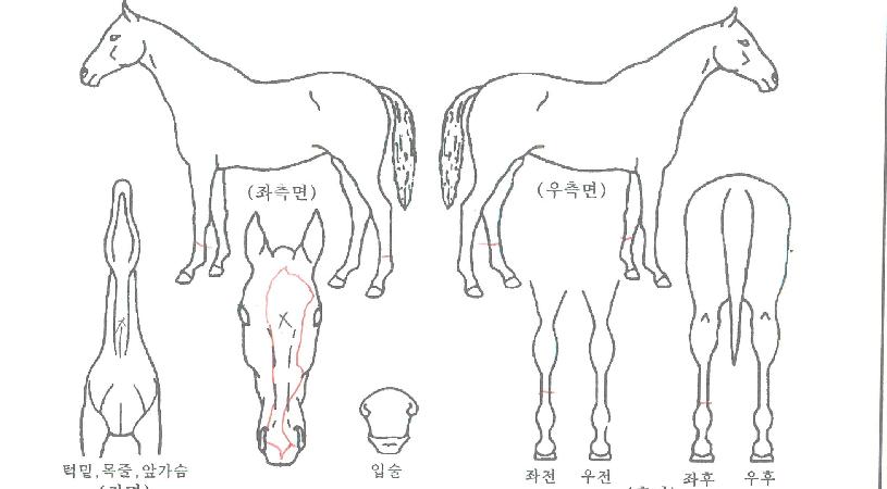 �������� ����,���,�޸�,�λ�,�ٸ��� Ư¡����