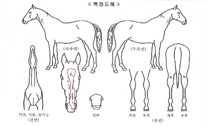 ��ƶ����� ����,���,�޸�,�λ�,�ٸ��� Ư¡����