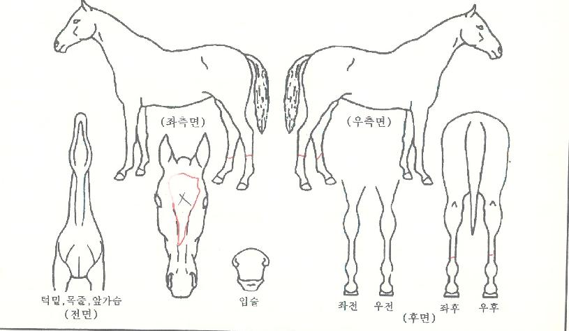 ����Ǯ������ ����,���,�޸�,�λ�,�ٸ��� Ư¡����