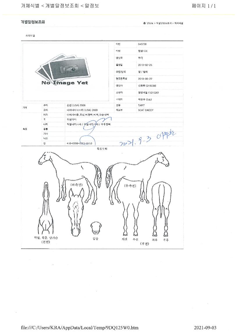 ���򳪺��� ����,���,�޸�,�λ�,�ٸ��� Ư¡����