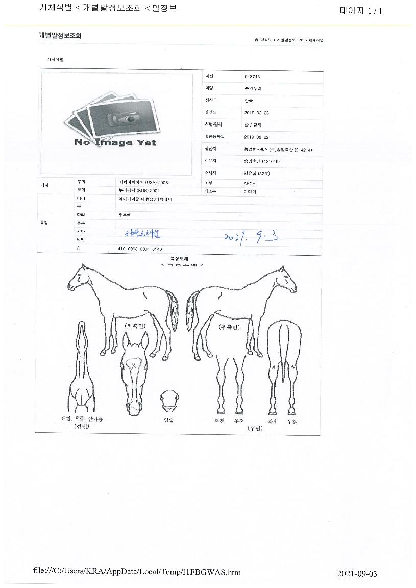 �۾ϴ����� ����,���,�޸�,�λ�,�ٸ��� Ư¡����