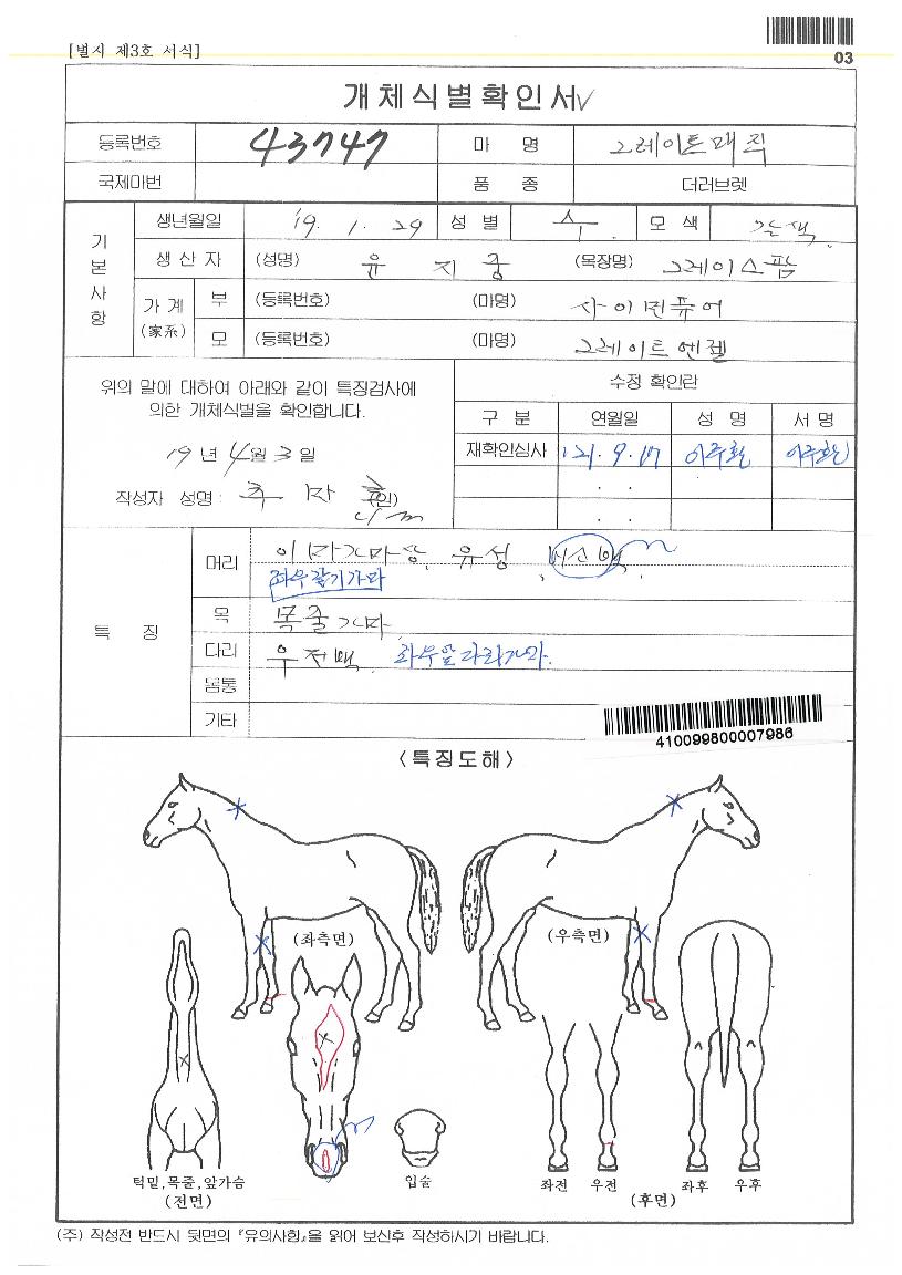 ±×·¹ÀÌÆ®¸ÅÁ÷ÀÇ Ãø¸é,¿ì¸é,µÞ¸é,µÎ»ó,´Ù¸®ÀÇ Æ¯Â¡µµÇØ