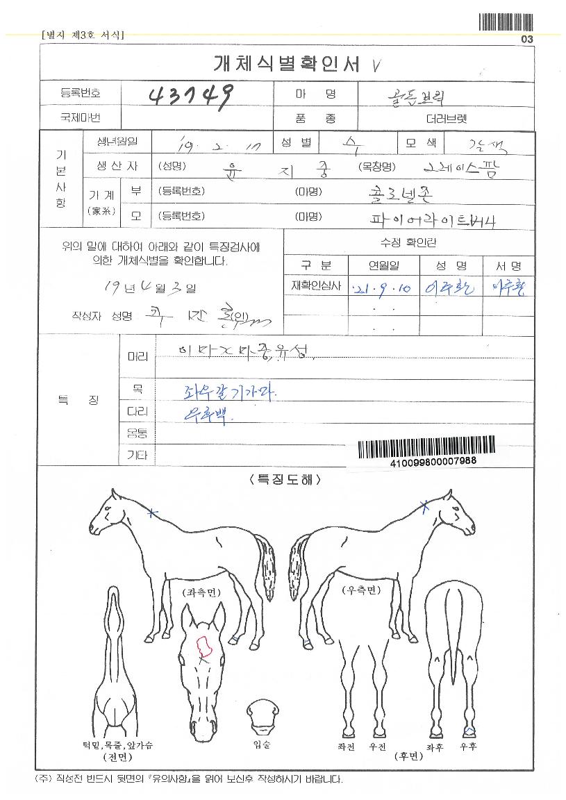 °ñµçºê¸¯ÀÇ Ãø¸é,¿ì¸é,µÞ¸é,µÎ»ó,´Ù¸®ÀÇ Æ¯Â¡µµÇØ