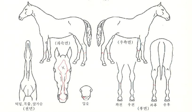 ������ѹ����� ����,���,�޸�,�λ�,�ٸ��� Ư¡����