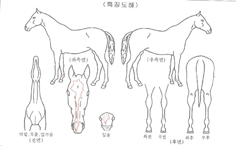 ��ǳ������ ����,���,�޸�,�λ�,�ٸ��� Ư¡����