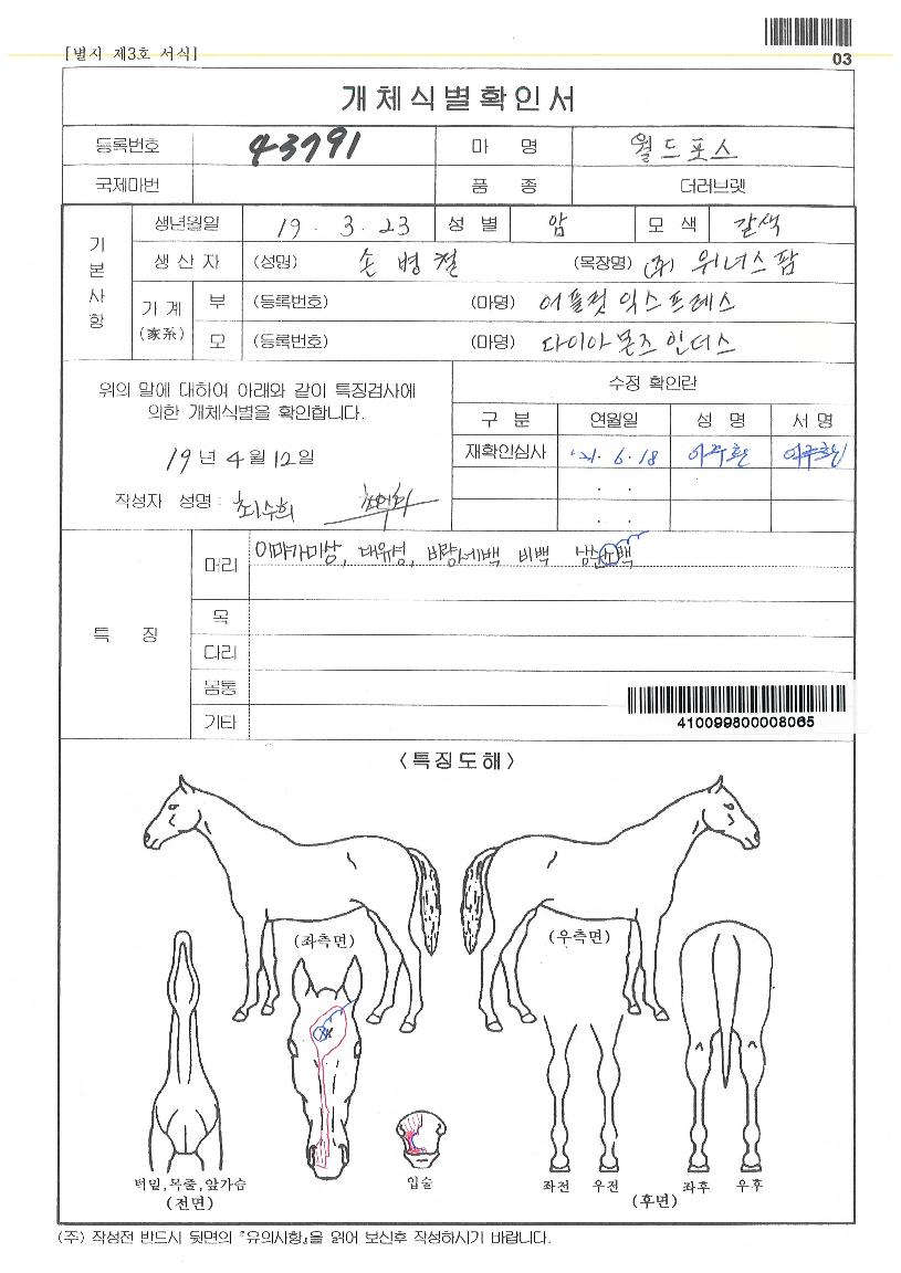 ¿ùµåÆ÷½ºÀÇ Ãø¸é,¿ì¸é,µÞ¸é,µÎ»ó,´Ù¸®ÀÇ Æ¯Â¡µµÇØ