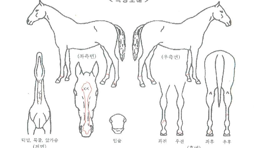 �������� ����,���,�޸�,�λ�,�ٸ��� Ư¡����