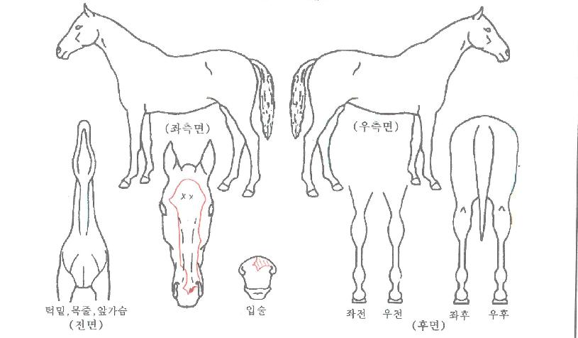 ���ø�Ʈ������ ����,���,�޸�,�λ�,�ٸ��� Ư¡����