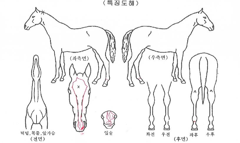 ���������� ����,���,�޸�,�λ�,�ٸ��� Ư¡����