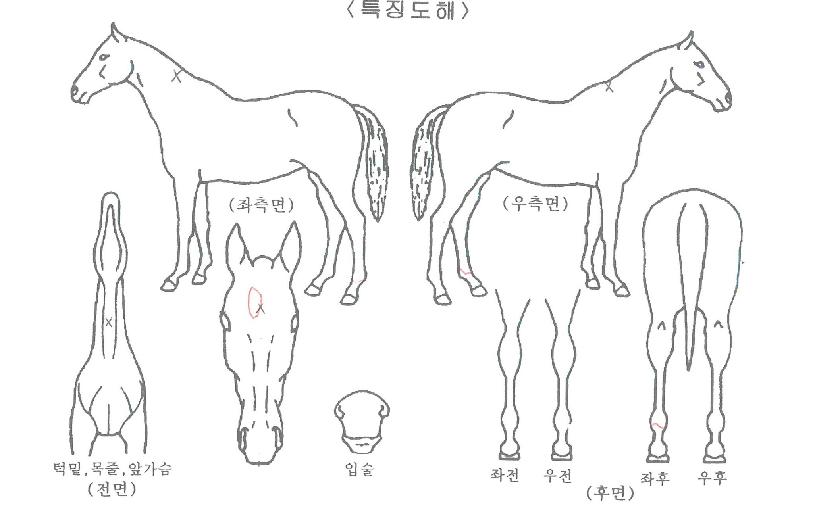 ����������� ����,���,�޸�,�λ�,�ٸ��� Ư¡����