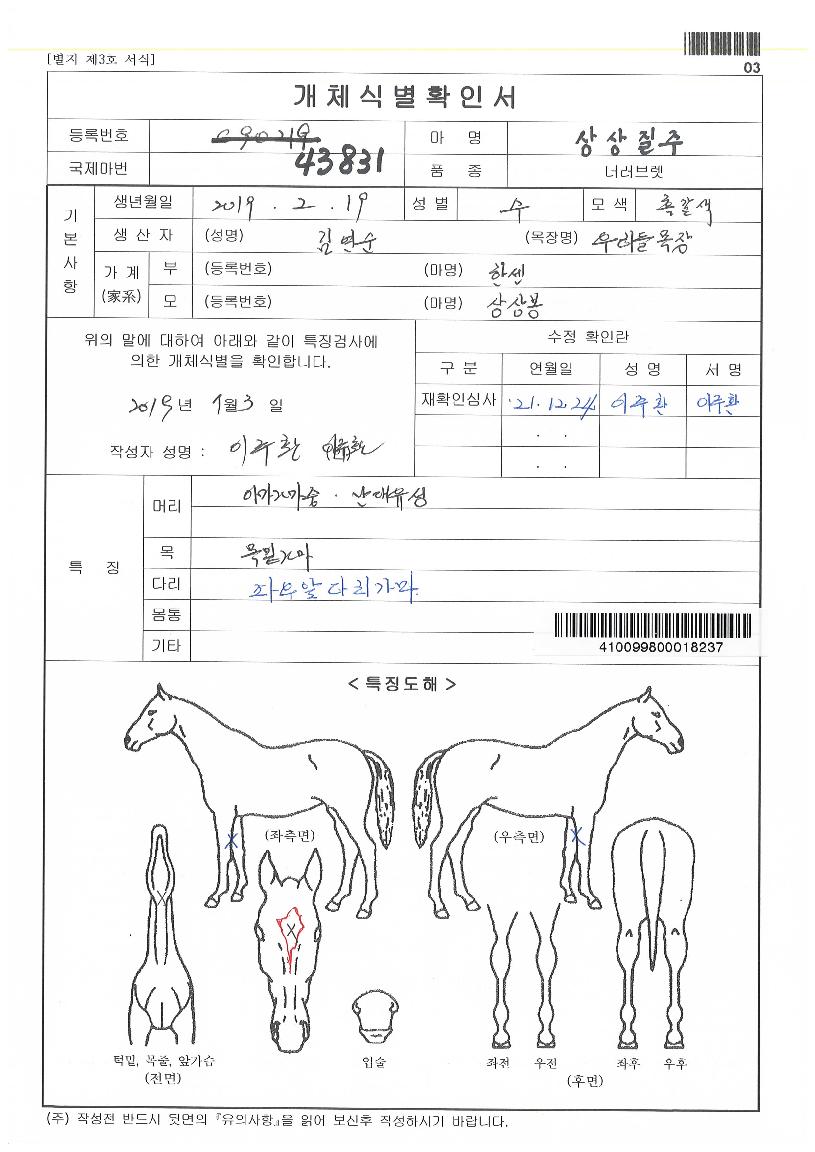 »ó»óÁúÁÖÀÇ Ãø¸é,¿ì¸é,µÞ¸é,µÎ»ó,´Ù¸®ÀÇ Æ¯Â¡µµÇØ