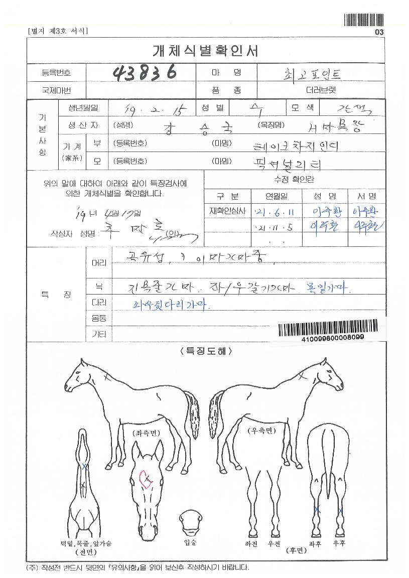 �ְ�����Ʈ�� ����,���,�޸�,�λ�,�ٸ��� Ư¡����