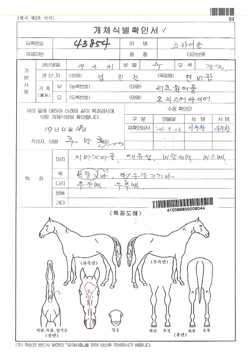 ½ºÄ«À̼ÛÀÇ Ãø¸é,¿ì¸é,µÞ¸é,µÎ»ó,´Ù¸®ÀÇ Æ¯Â¡µµÇØ